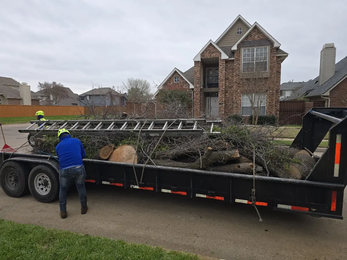 Expert Deadwooding with proper safety equipment in Chaska
